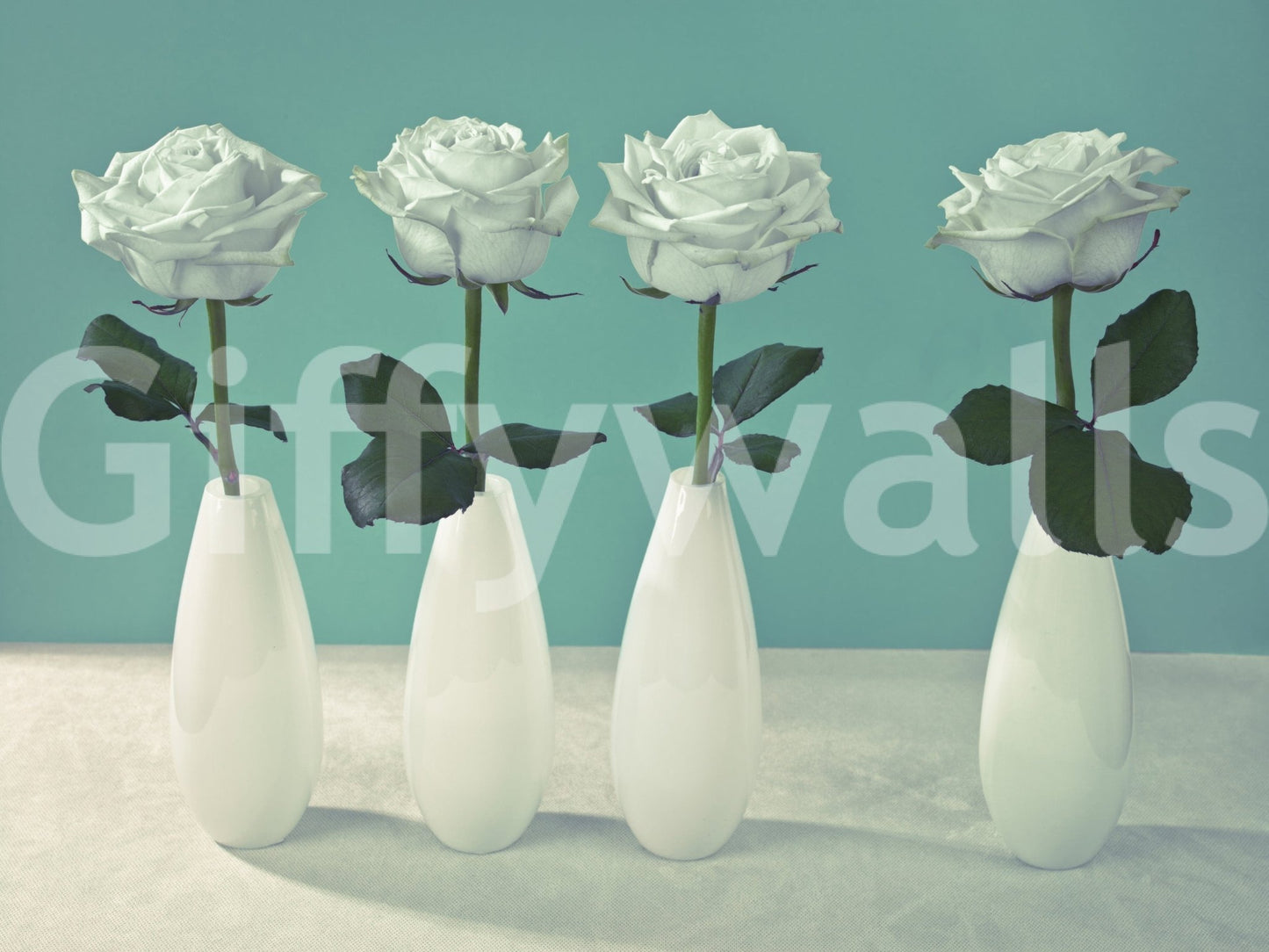 Bright white roses quartet wallpaper for walls backdrop beauty.