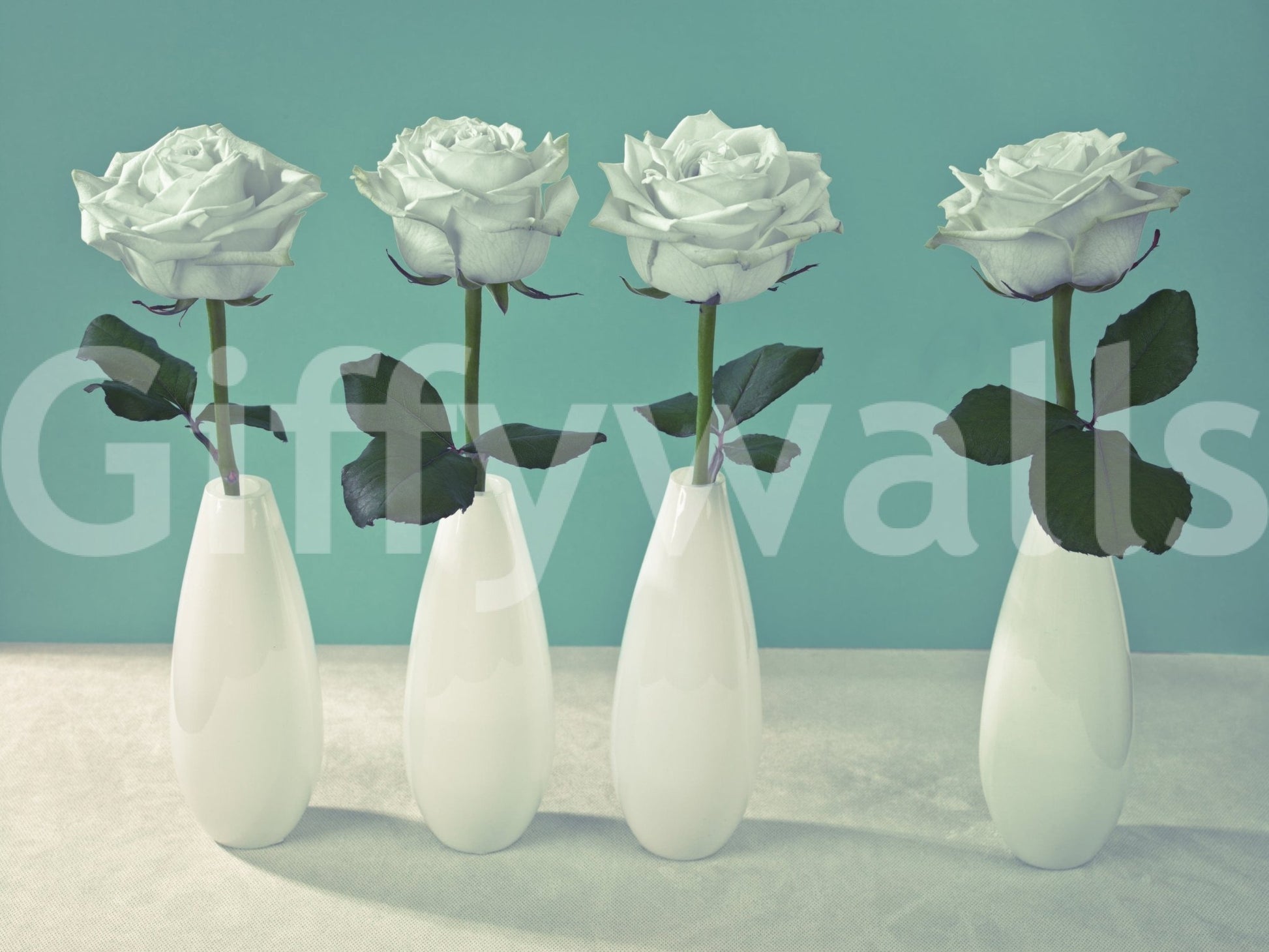 Bright white roses quartet wallpaper for walls backdrop beauty.