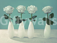 Bright white roses quartet wallpaper for walls backdrop beauty.