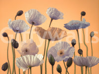 Stylish botanical wallpaper for a master suite headboard wall