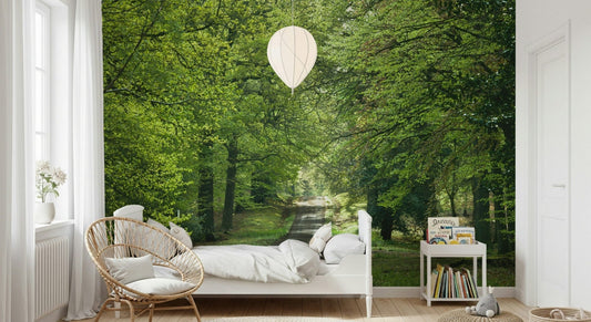 Outdoor vista wallpaper, gentle Flourishing Path scenery.