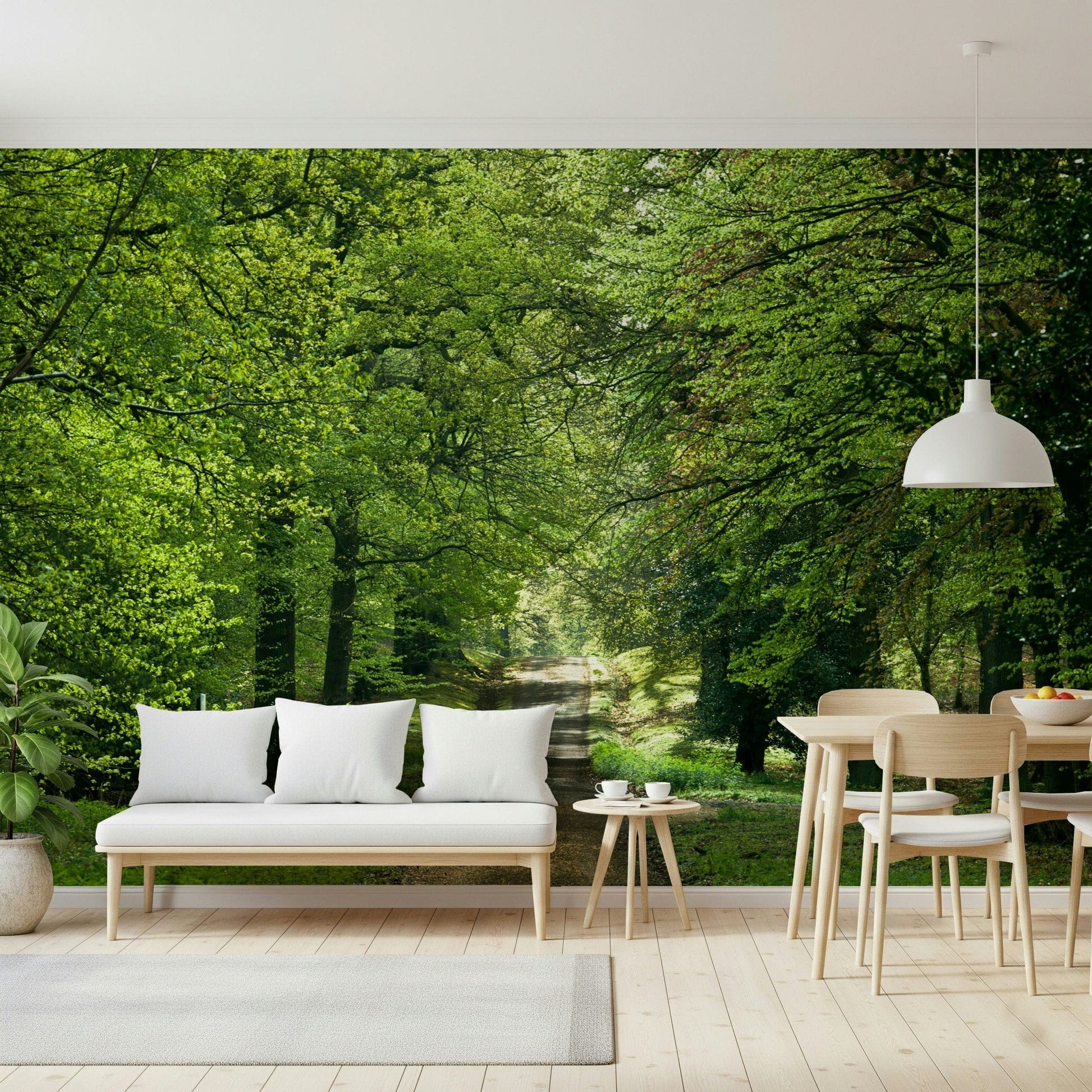 Wooded lane scenic mural, feel the Flourishing Path nature.