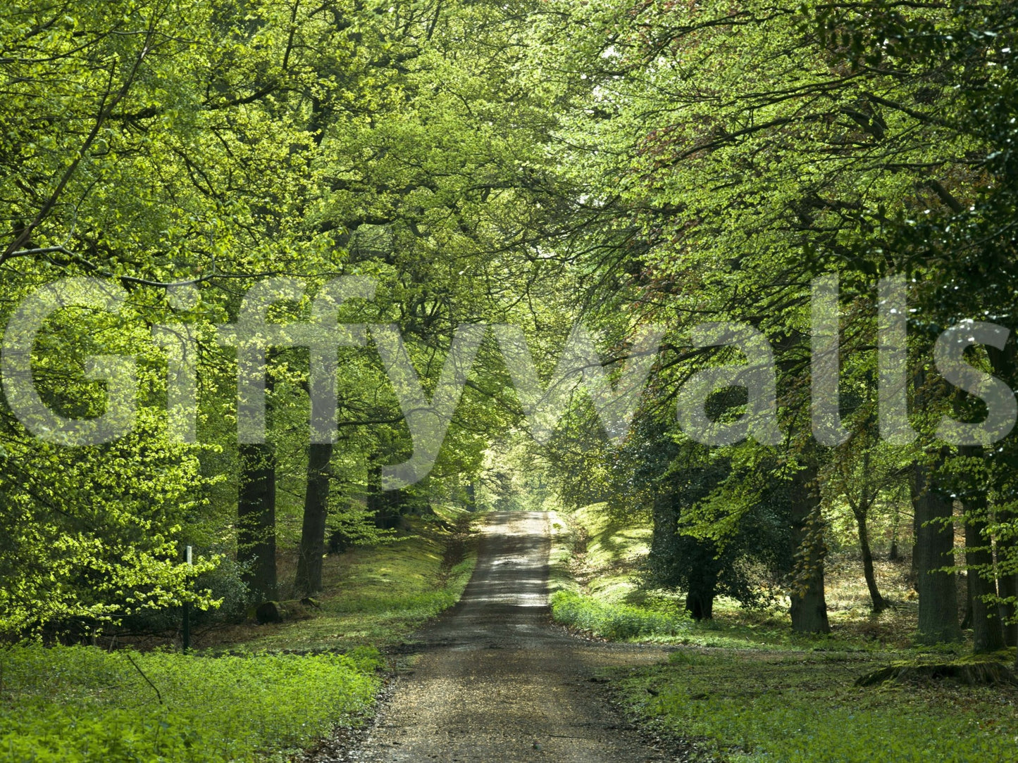 Forest light wall decor, refreshing Flourishing Path.