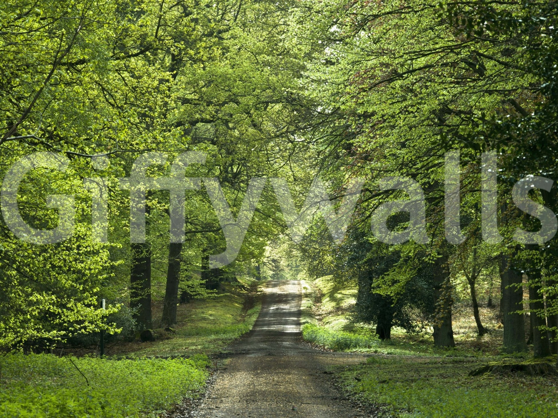 Forest light wall decor, refreshing Flourishing Path.