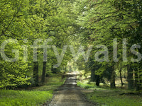 Forest light wall decor, refreshing Flourishing Path.