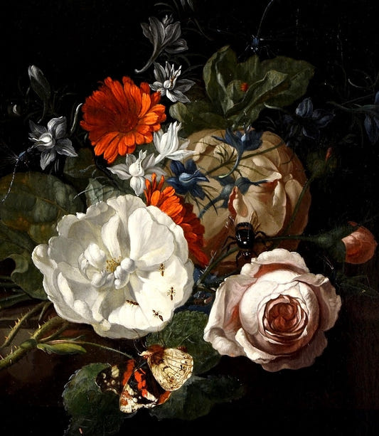 Flower Insects Wallpaper Wall Murals