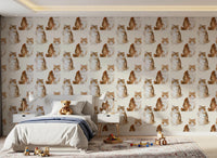 Cute fluffy cat wallpaper for contemporary hallways.