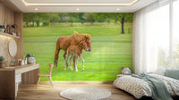 Detailed young horse wallpaper for a modern reception area accent wall.