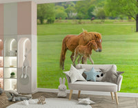 Foal's First Steps Wall Mural for a sophisticated guest suite wallpaper.