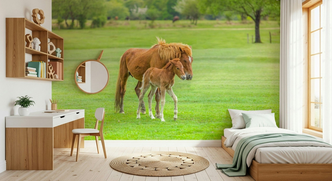 Foal's First Steps Wall Mural used as a hallway accent wallpaper.