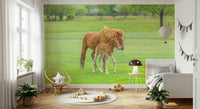 Foal's First Steps Wall Mural in a bright living room with neutral tones wallpaper.