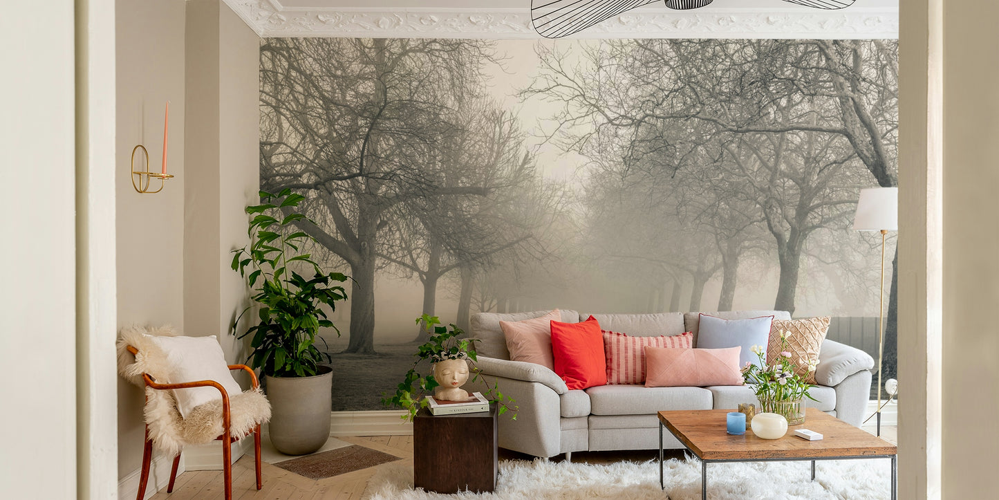 Foggy Forest Lane Wall Mural