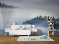 Foggy Misty Forest Maple Tree Wallpaper Murals