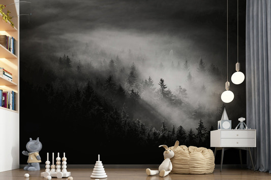 Intense dark-light juxtaposition Foggy Forest Woodland panoramic mural.