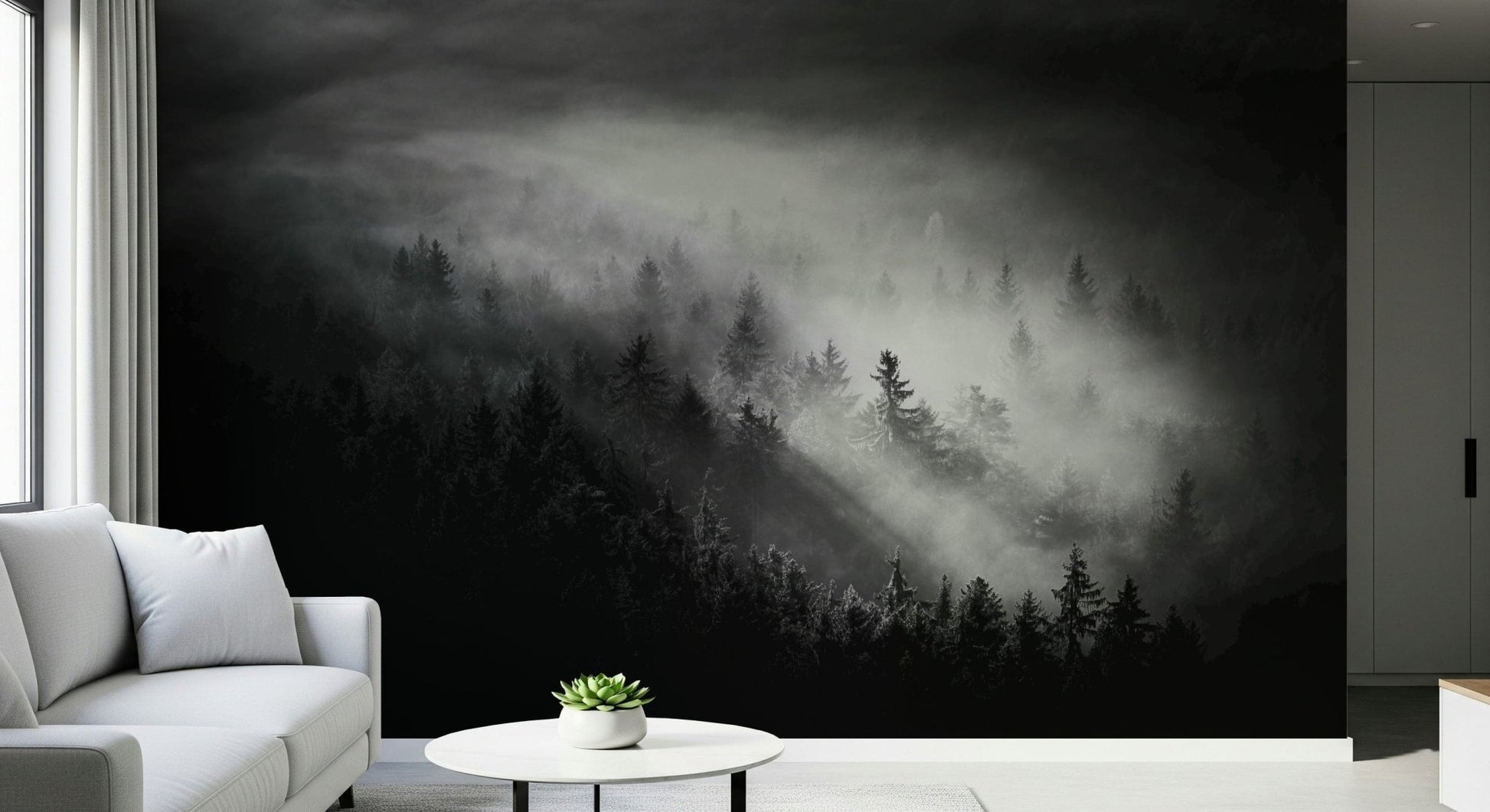 Shadowy dense timberland view Foggy Forest Woodland decorative wall poster.