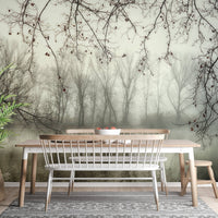 Foggy Spooky Woodland Forest With River Wallpaper Murals - Giffywalls A656