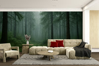 Fog-covered woods wall mural

