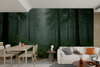 Nature wall mural with dense fog

