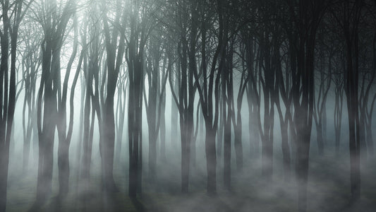 Misty Forest Halloween Peel and Stick Wallpaper for Decor