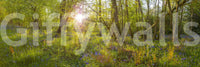 Forest Bloom Wall Mural