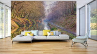 Forest pathway mural with water view

