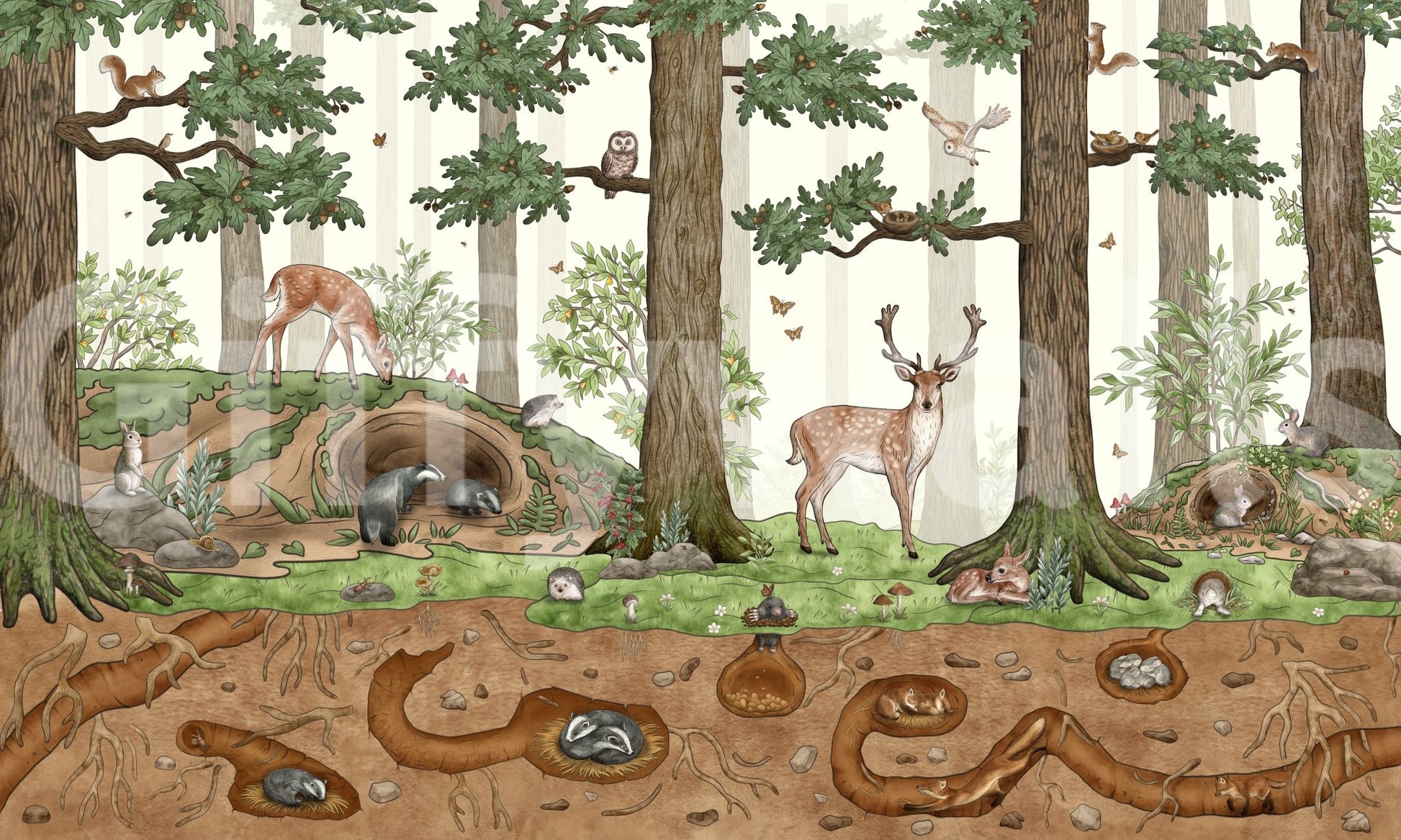 A high-quality serene tree wall mural for walls., GD5105