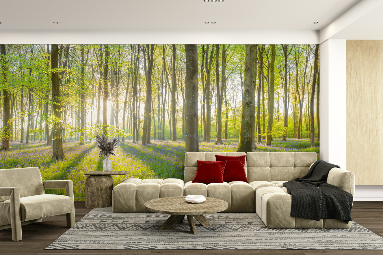 Sunlight through trees wall design

