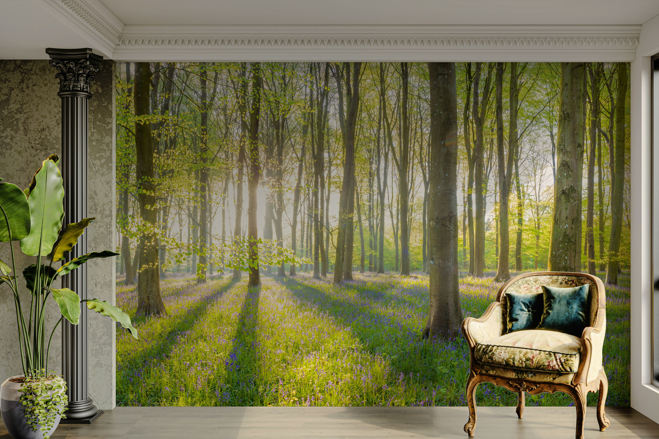 Forest illuminated mural wallpaper
