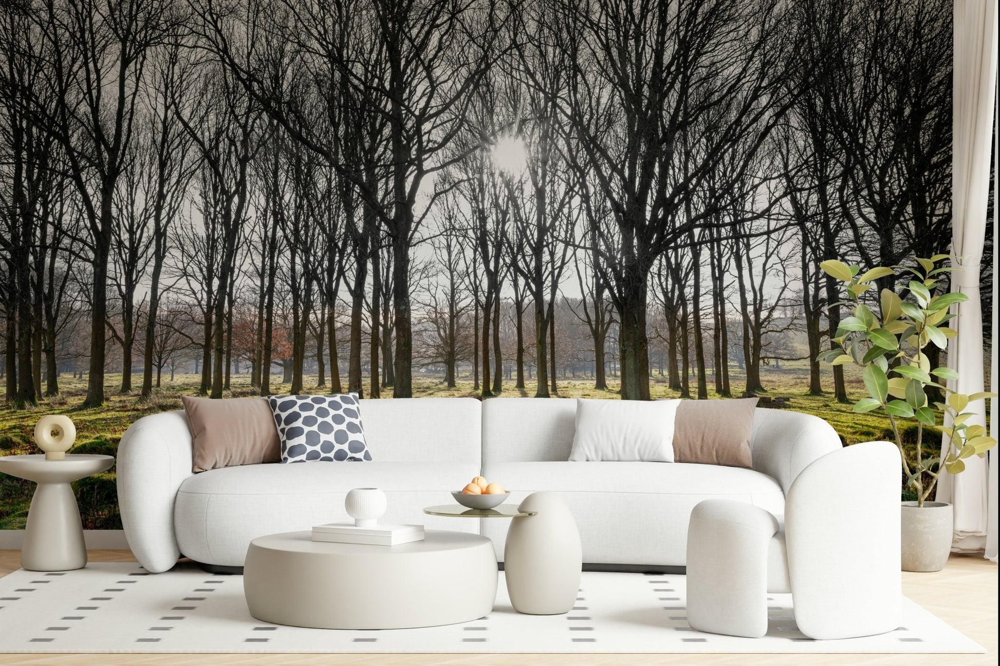 Bare tree Forest Illumination Wall Mural trunks and light.