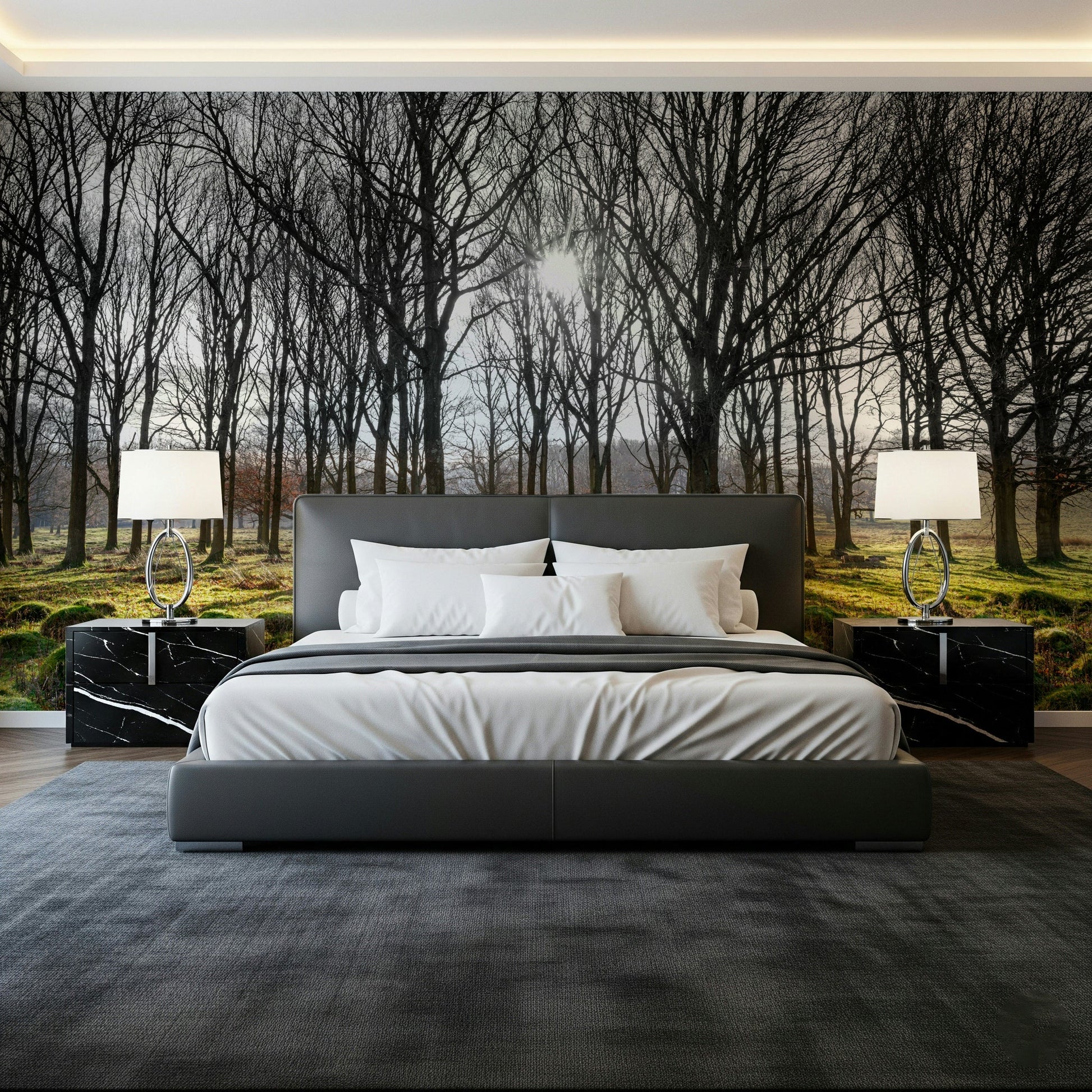 Long shadows Forest Illumination Wall Mural on grass.