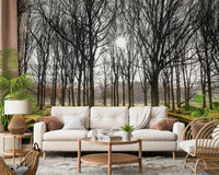 High contrast Forest Illumination Wall Mural woodland photo.