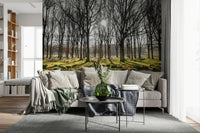 Mossy ground Forest Illumination Wall Mural with shadows.