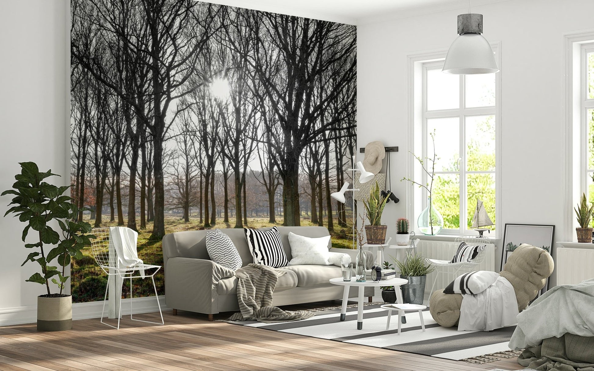 Peaceful forest Forest Illumination Wall Mural landscape graphic.