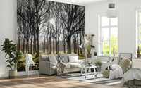 Peaceful forest Forest Illumination Wall Mural landscape graphic.