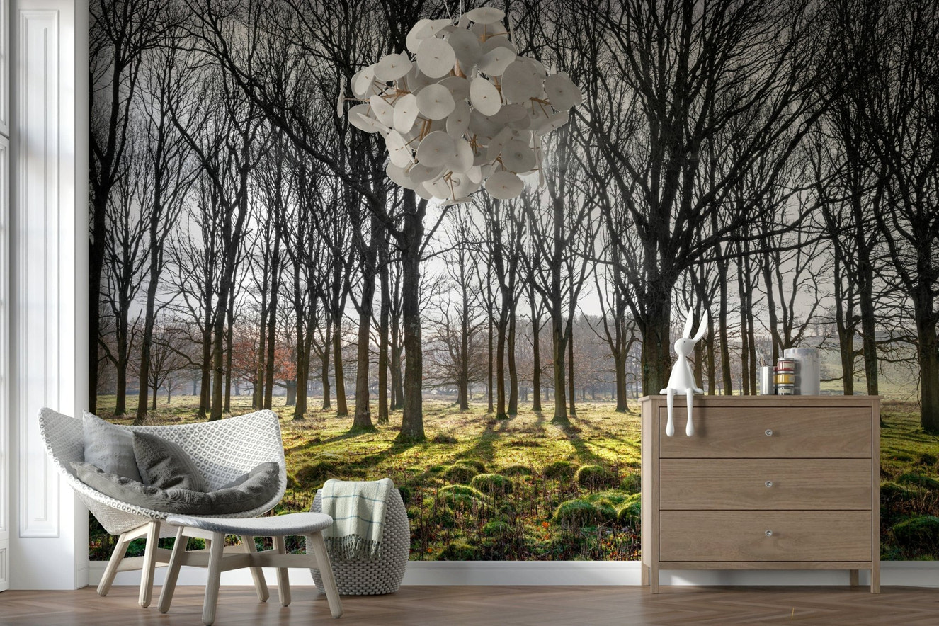 Dramatic winter Forest Illumination Wall Mural scene.