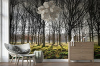 Dramatic winter Forest Illumination Wall Mural scene.