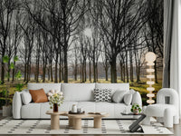 Scenic parkland Forest Illumination Wall Mural wall covering.