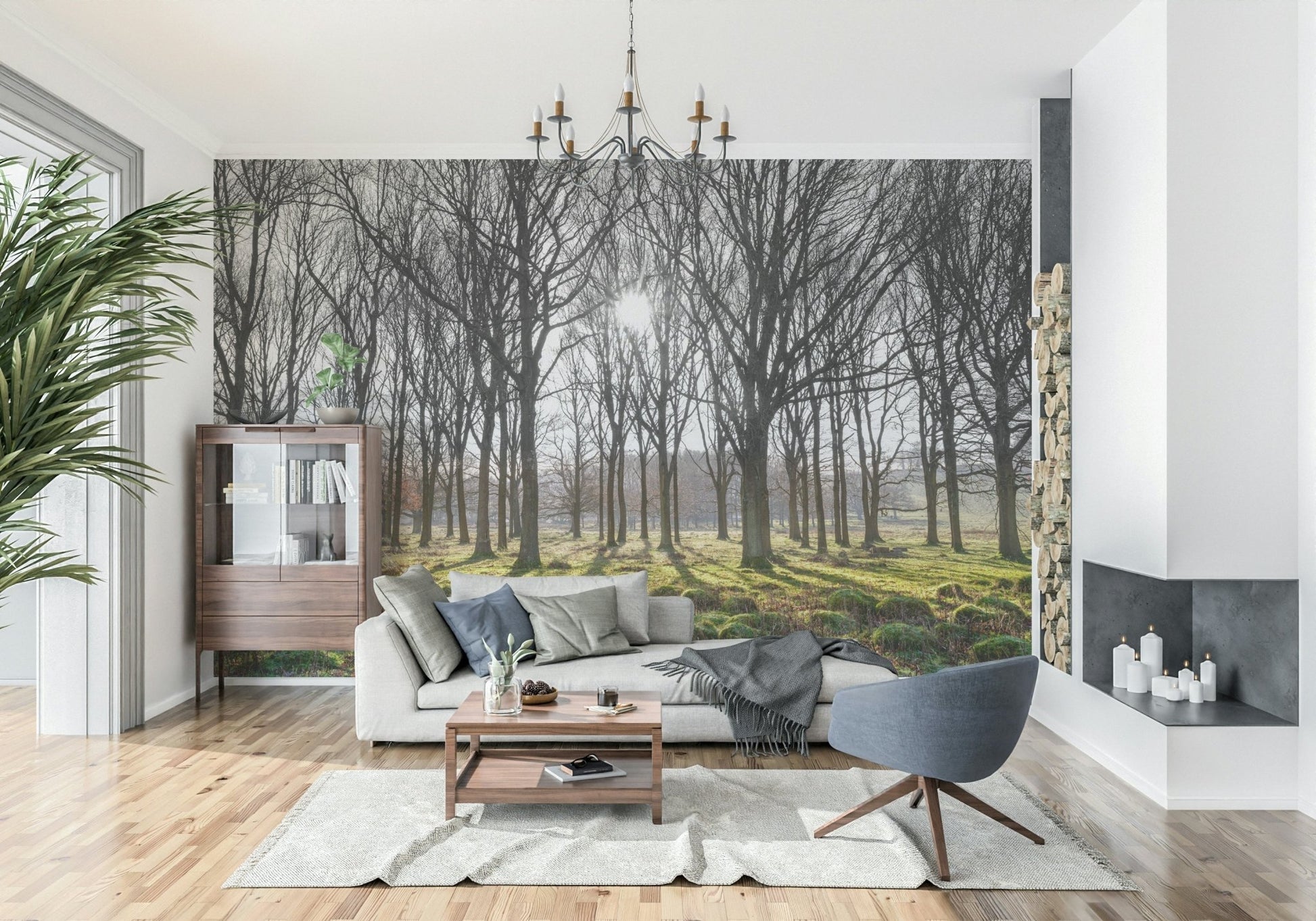Nature photography Forest Illumination Wall Mural wall art.