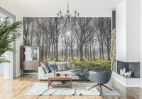 Nature photography Forest Illumination Wall Mural wall art.