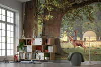 A calming forest design wallpaper mural that defines a space., GD4628