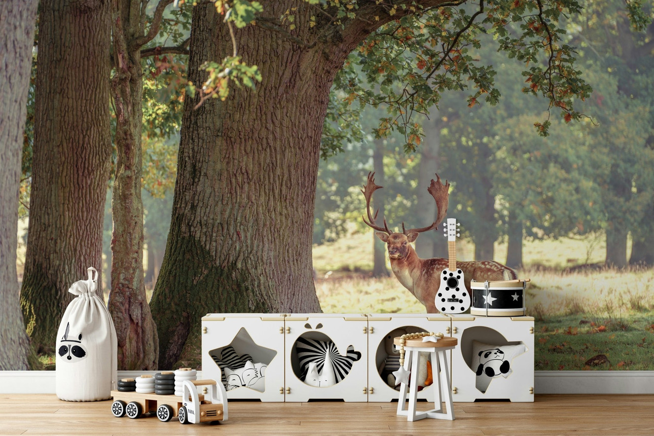 A beautiful majestic deer wallpaper mural in a forest.

