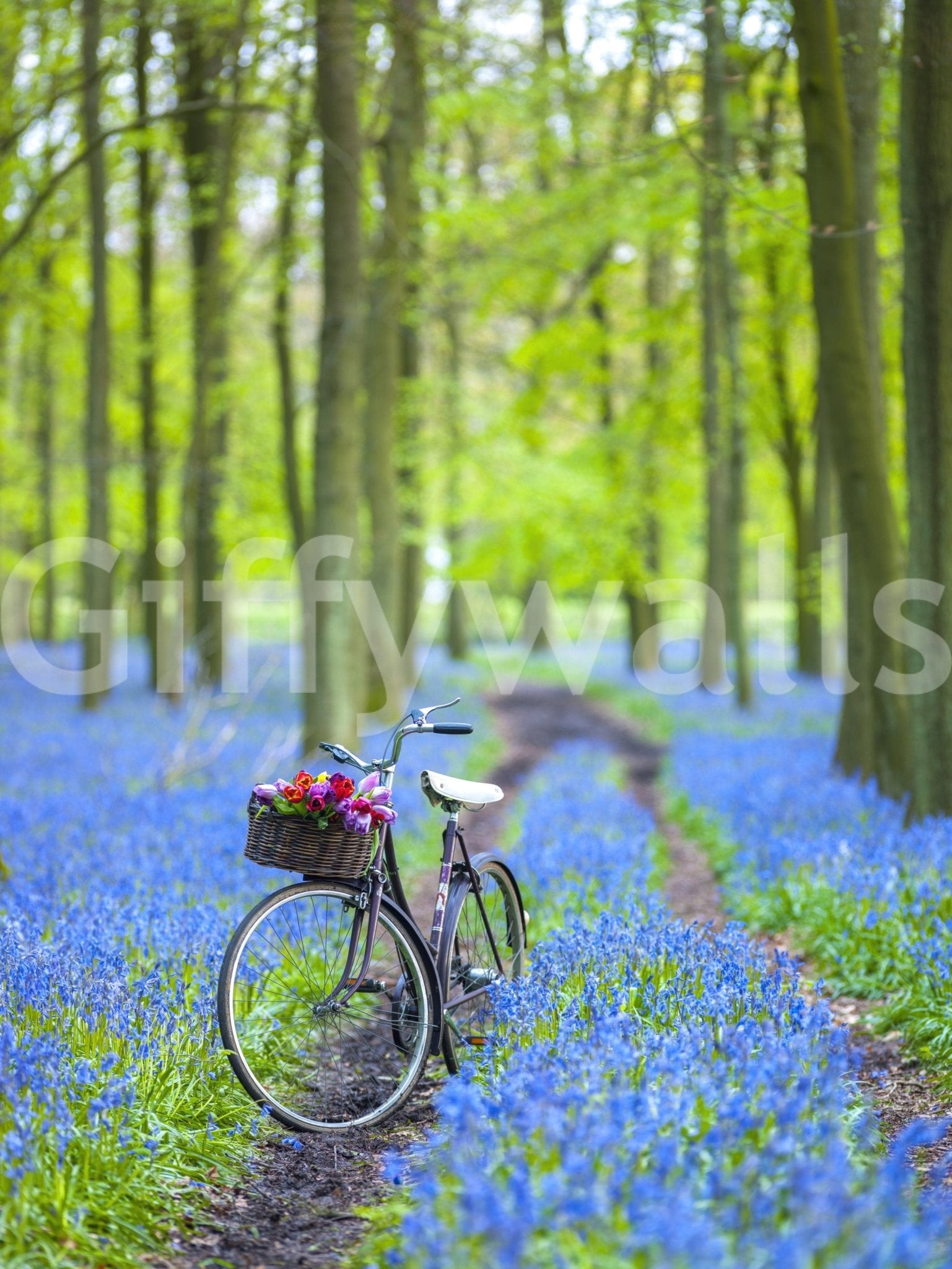 Forest Path Discovery Wall Mural