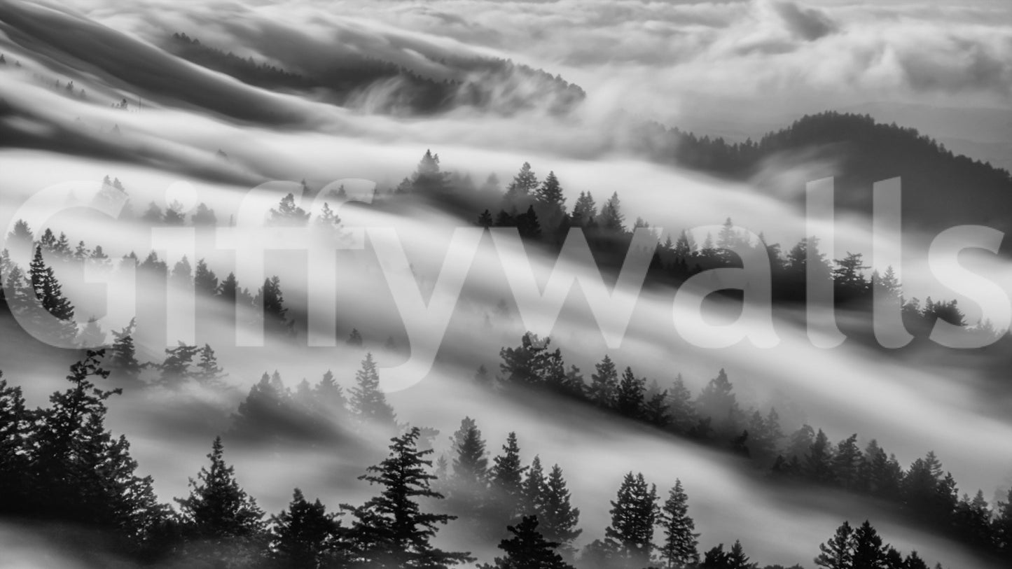 Forest Veil peel and stick wall mural dark forest design