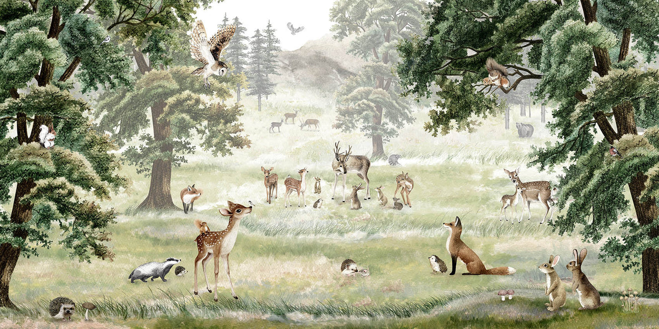 Magical Forest & Animal Sanctuary Wall Murals