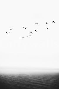 The texture appears smooth and artistic, like a painting or detailed illustration.
