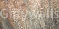 Warm light filtering through Fountain Grass wallpaper mural summer haze., GD6718