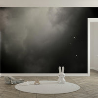 Distant balloons hover in dim haze in this Four Balloons and Another One wall mural GD4888
