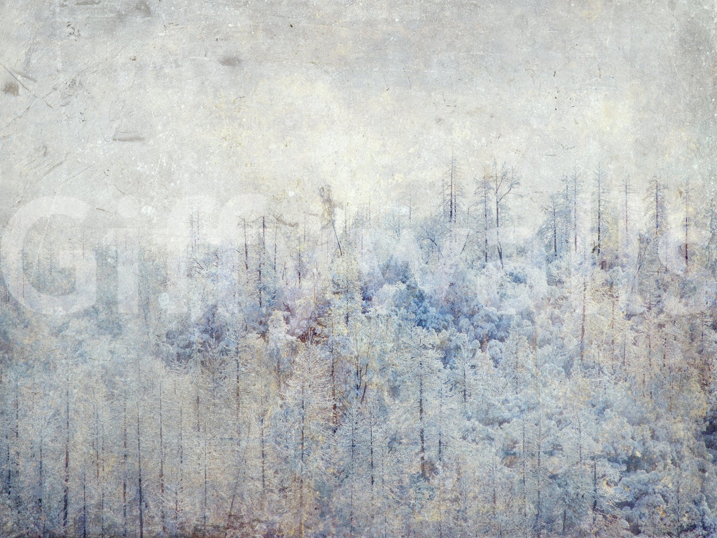 A high-quality minimalist tree wall mural for walls.