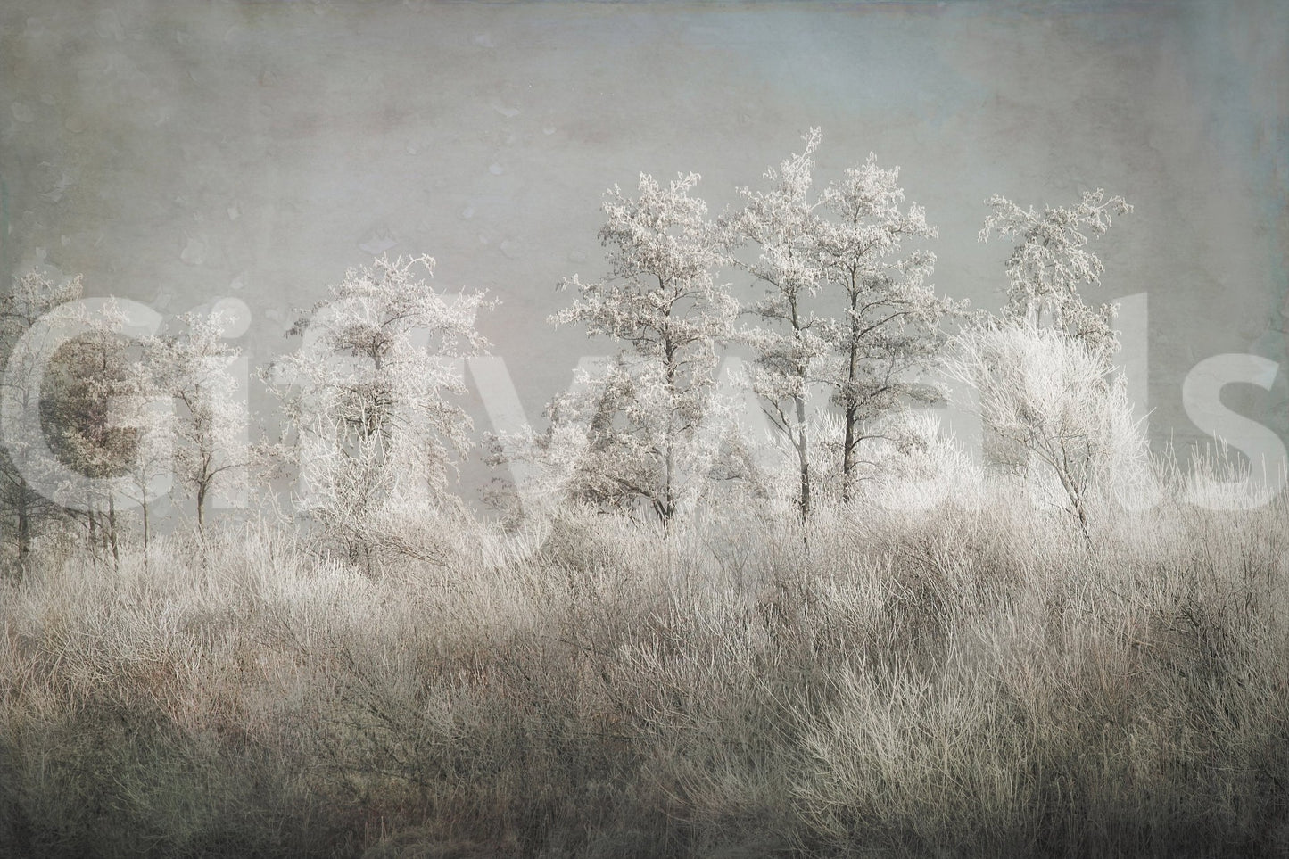 A high-quality abstract print wall mural for walls., GD5627