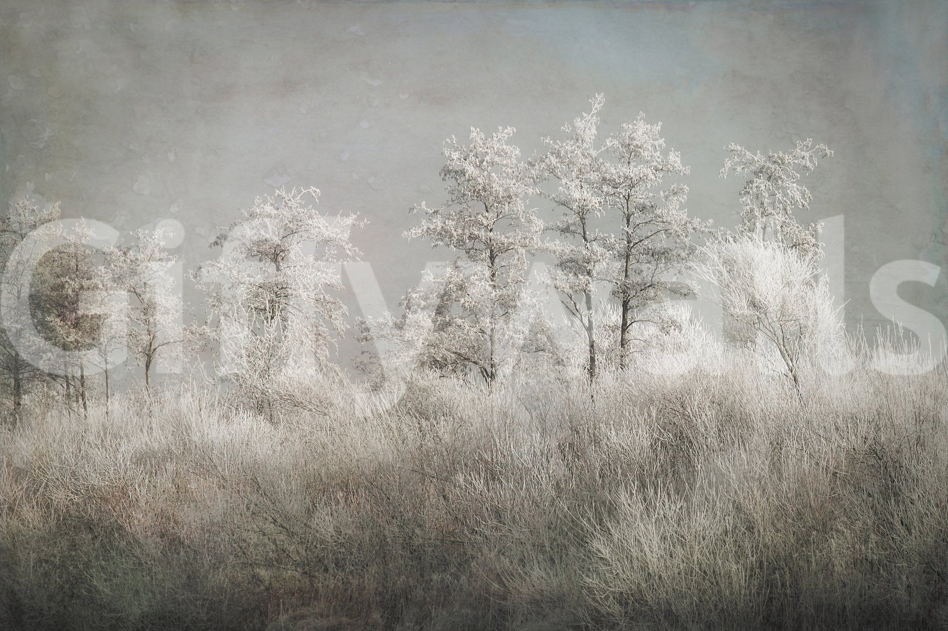 A high-quality abstract print wall mural for walls., GD5627